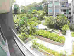The Raintree (D21), Condominium #174889862